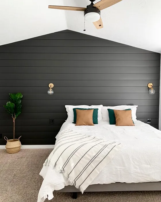 Sw Tricorn Black Bedroom Accent Wall