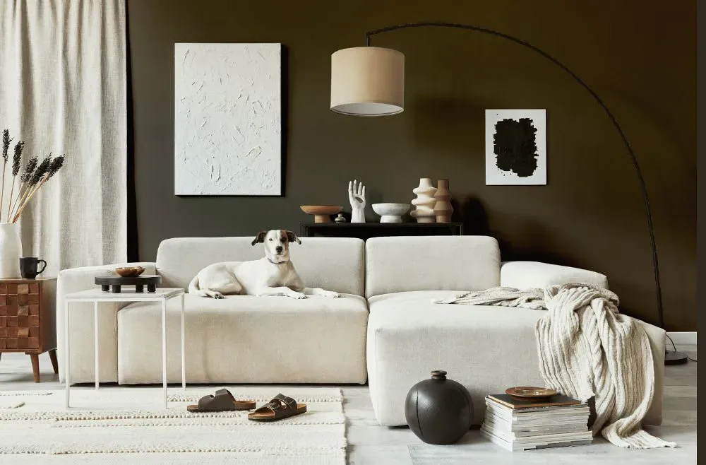 Sherwin Williams Tungsten cozy living room