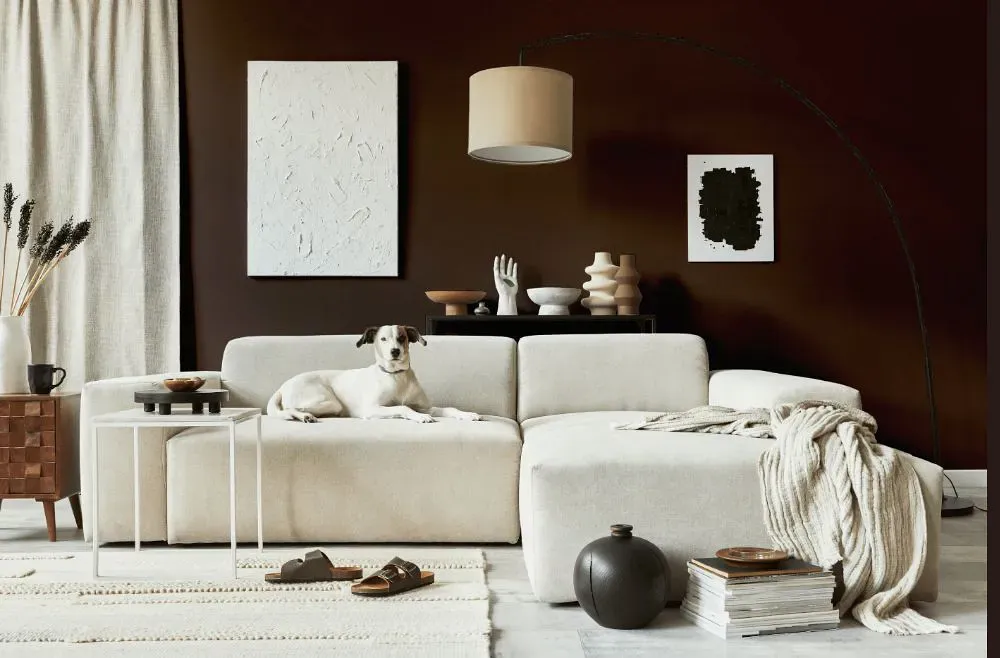 Sherwin Williams Turkish Coffee cozy living room