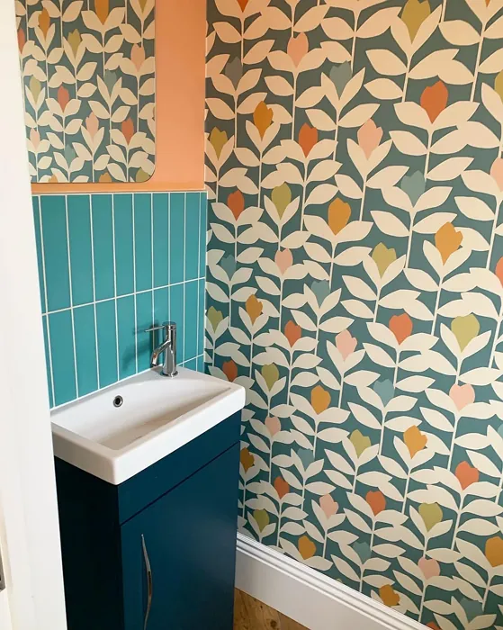 Dulux Tuscan Terracotta bathroom color review