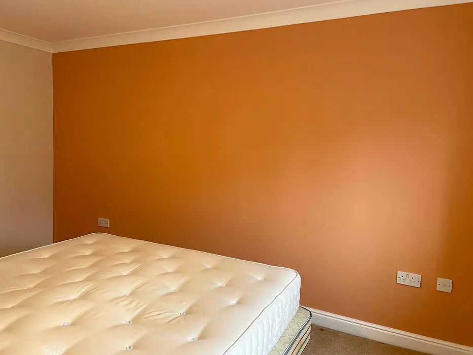 Dulux Tuscan Terracotta bedroom accent wall