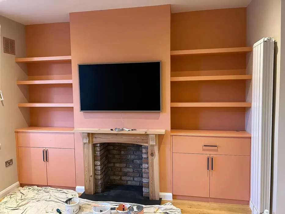 Dulux Tuscan Terracotta living room accent wall