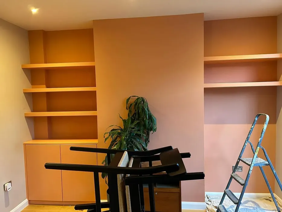 Autumn Fern 3 living room accent wall