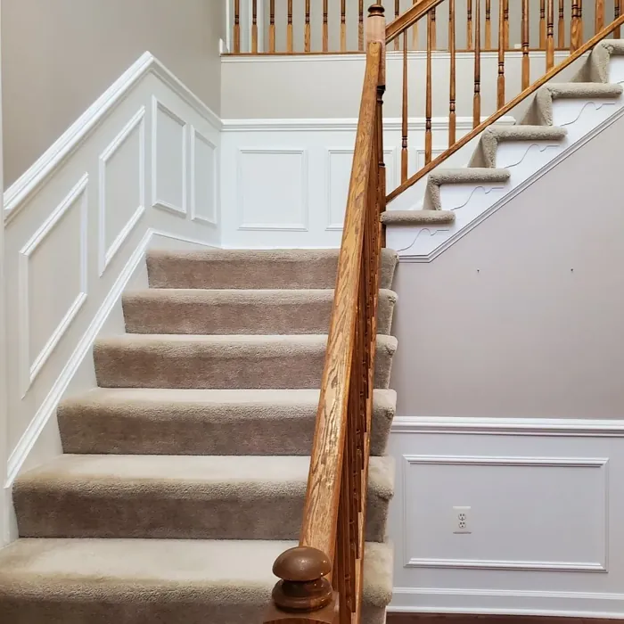 Sherwin Williams SW 0054 stairs color