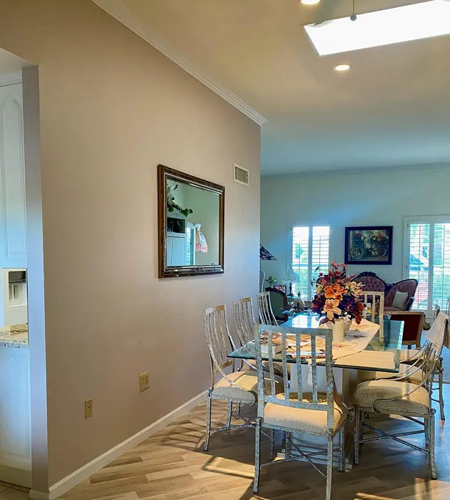 Sherwin Williams SW 6043 dining room color