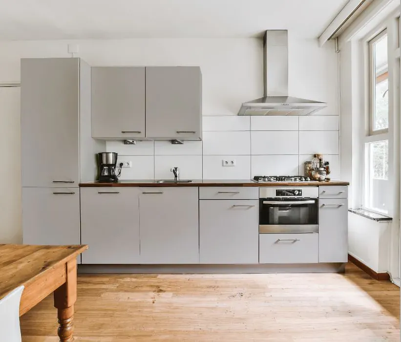 Sherwin Williams Unique Gray kitchen cabinets