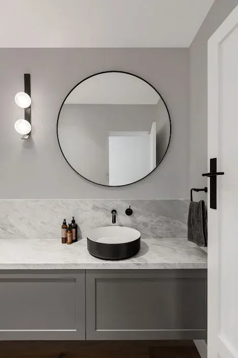 Sherwin Williams Unique Gray minimalist bathroom