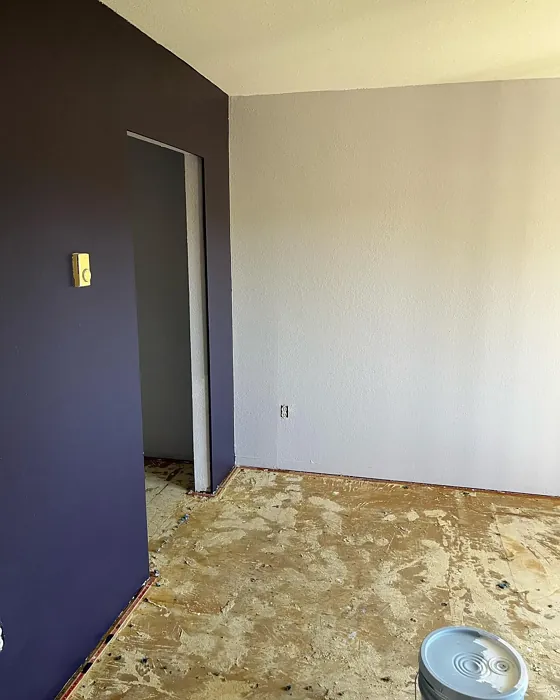 Sherwin Williams Unique Gray wall paint color