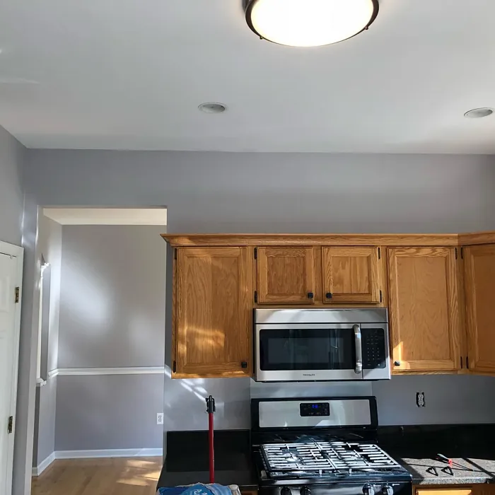 Sherwin Williams Unique Gray kitchen color review