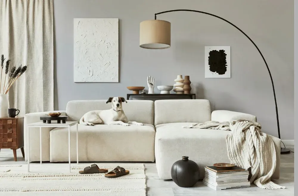 Sherwin Williams Unique Gray cozy living room