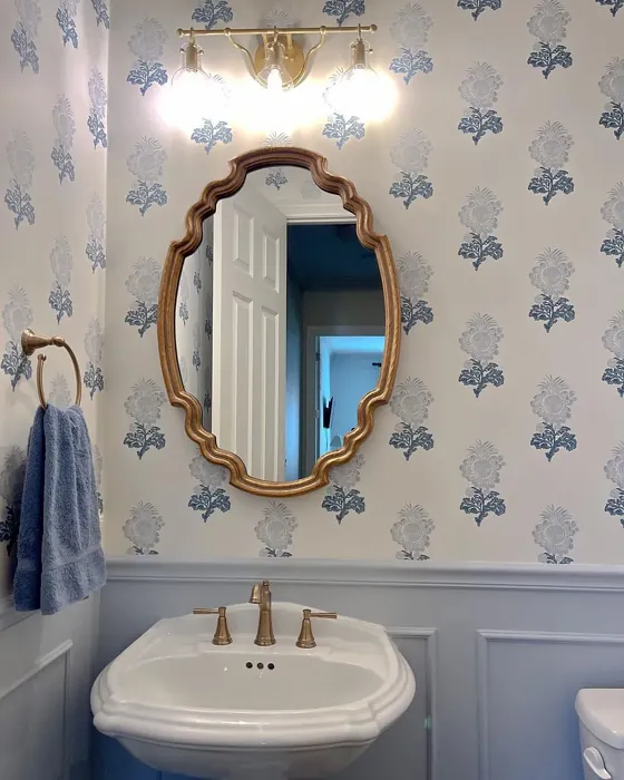 Sherwin Williams Upward bathroom paint review