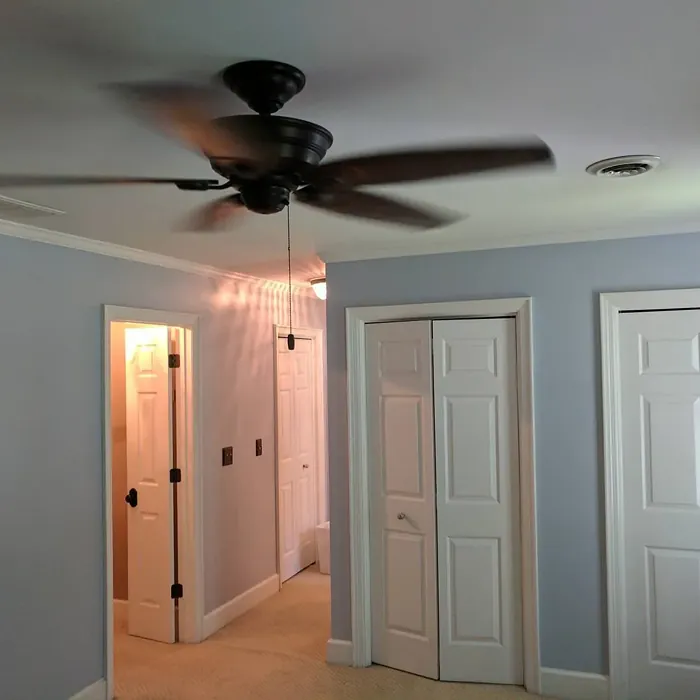 Sherwin Williams Upward wall paint color