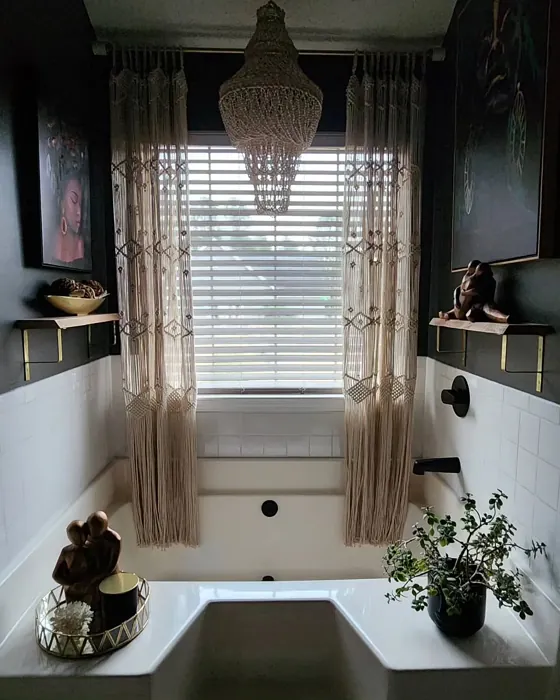 SW 7048 bathroom paint