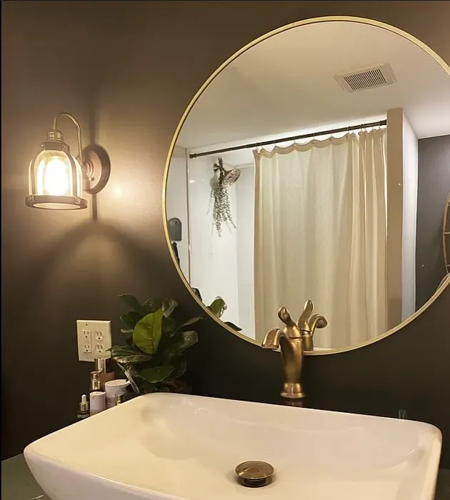 Urbane Bronze bathroom color