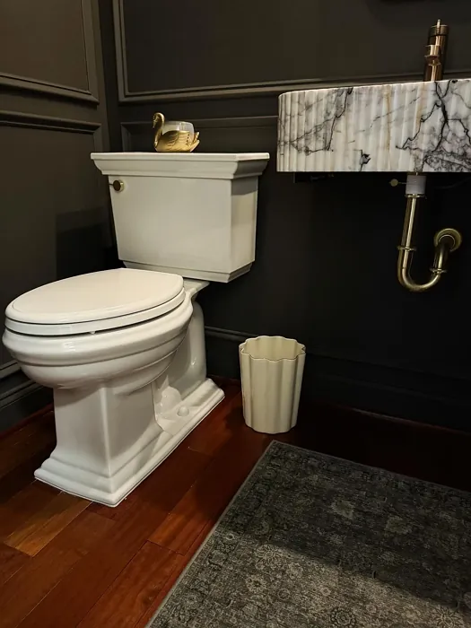 Sherwin Williams Urbane Bronze bathroom photo