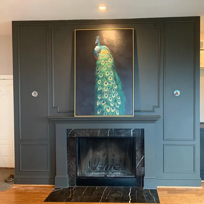 Sherwin Williams Urbane Bronze living room accent wall