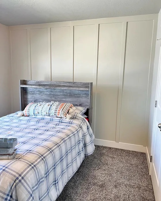 SW Useful Gray bedroom color