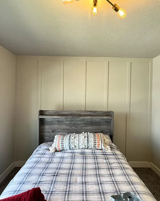 SW Useful Gray bedroom color review