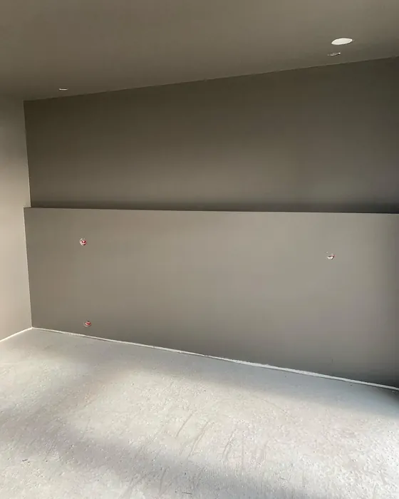 Jotun Vandyke Brown accent wall review