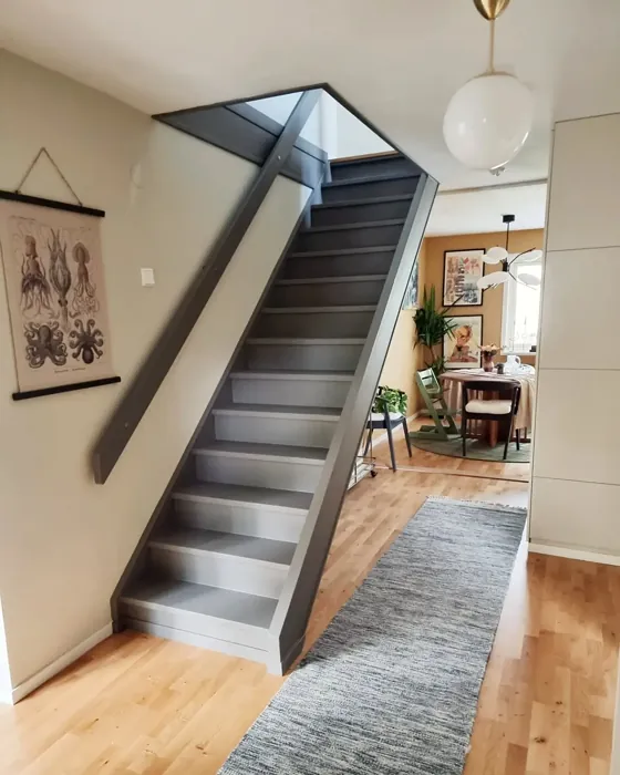 Jotun Vandyke Brown stairs color