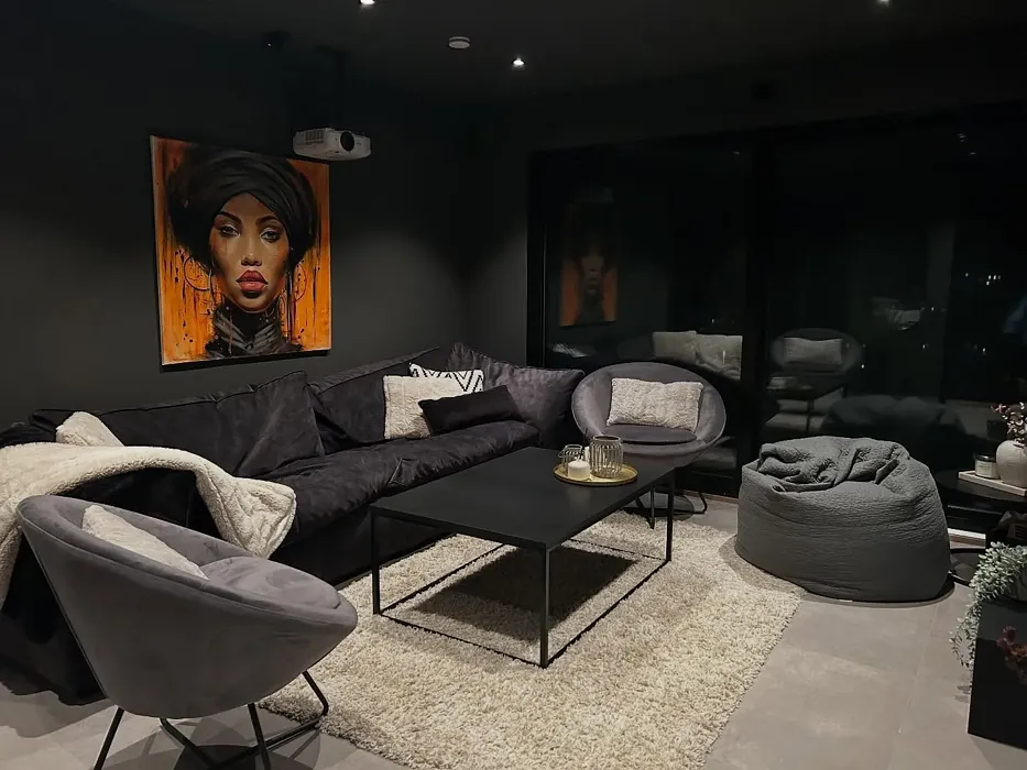 Jotun Vandyke Brown living room review