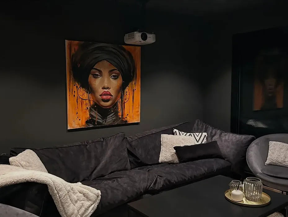 Jotun Vandyke Brown living room paint review