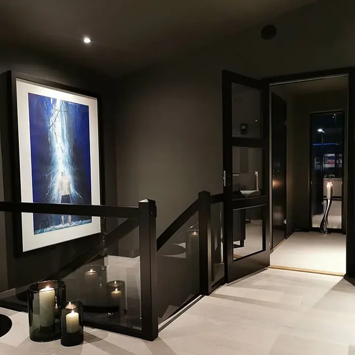 Jotun Vandyke Brown hallway 