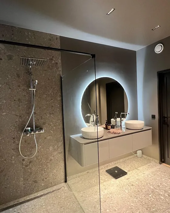 Jotun Vandyke Brown bathroom paint