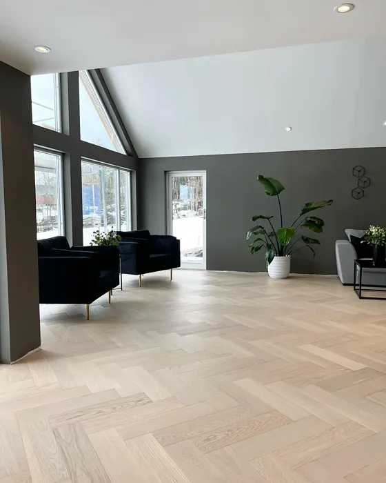 Jotun Sober living room color review