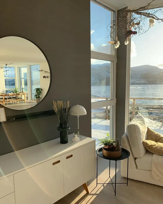 Jotun Vandyke Brown living room color review