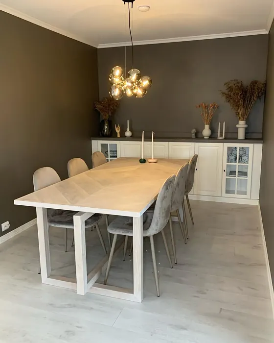 Jotun Vandyke Brown dining room color review