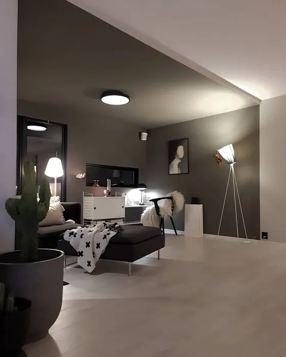 Jotun Vandyke Brown cozy living room color-block