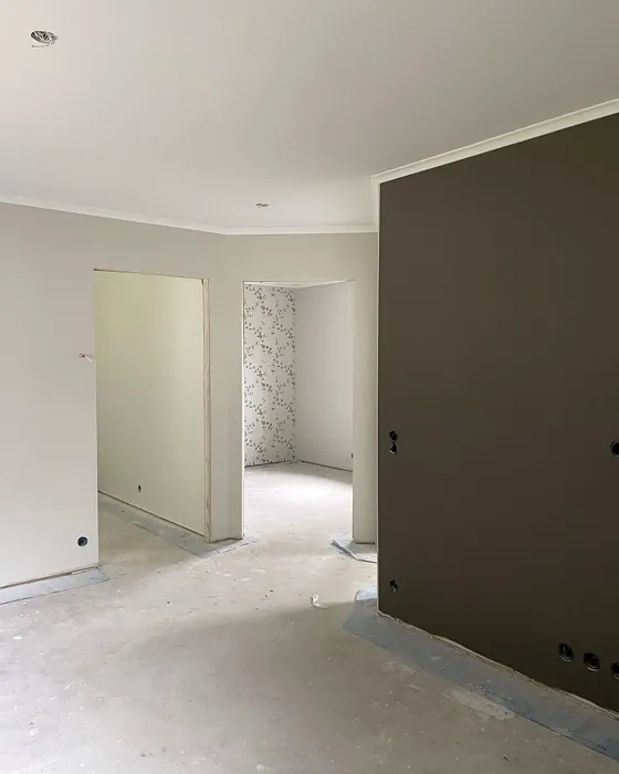 Jotun Sober accent wall 