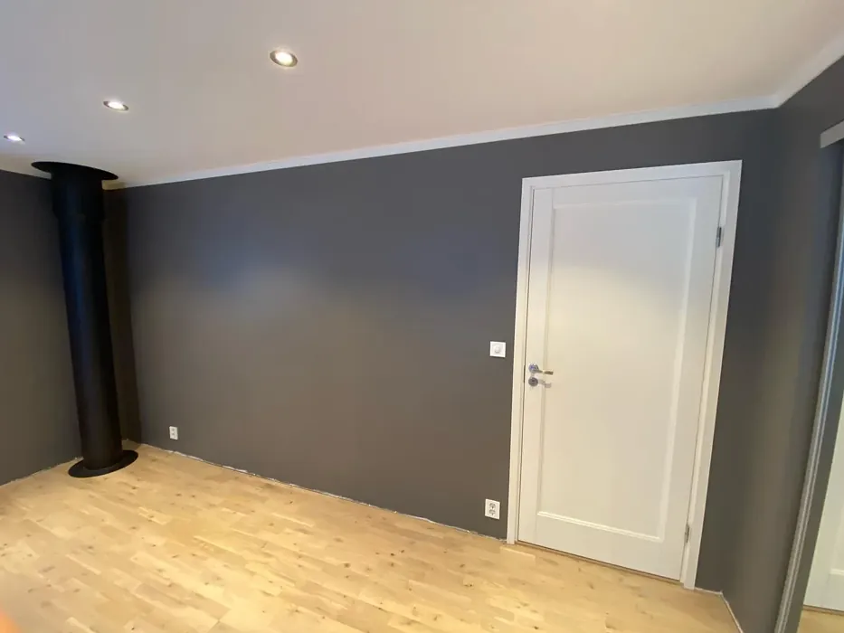 Jotun Vandyke Brown wall paint 