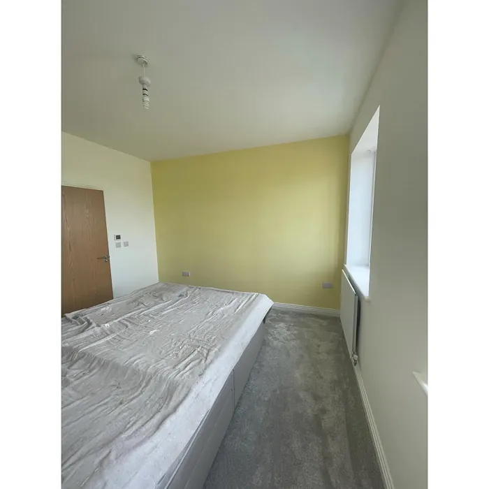 Dulux 54YY 85/291 bedroom accent wall