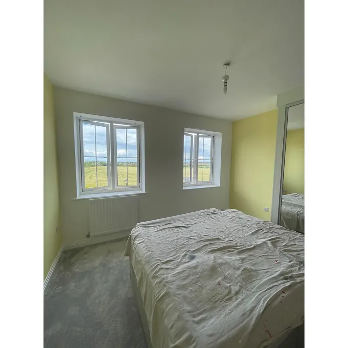 Lemon Chiffon 4 bedroom color