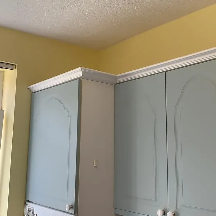 Lemon Chiffon 4 wall paint review