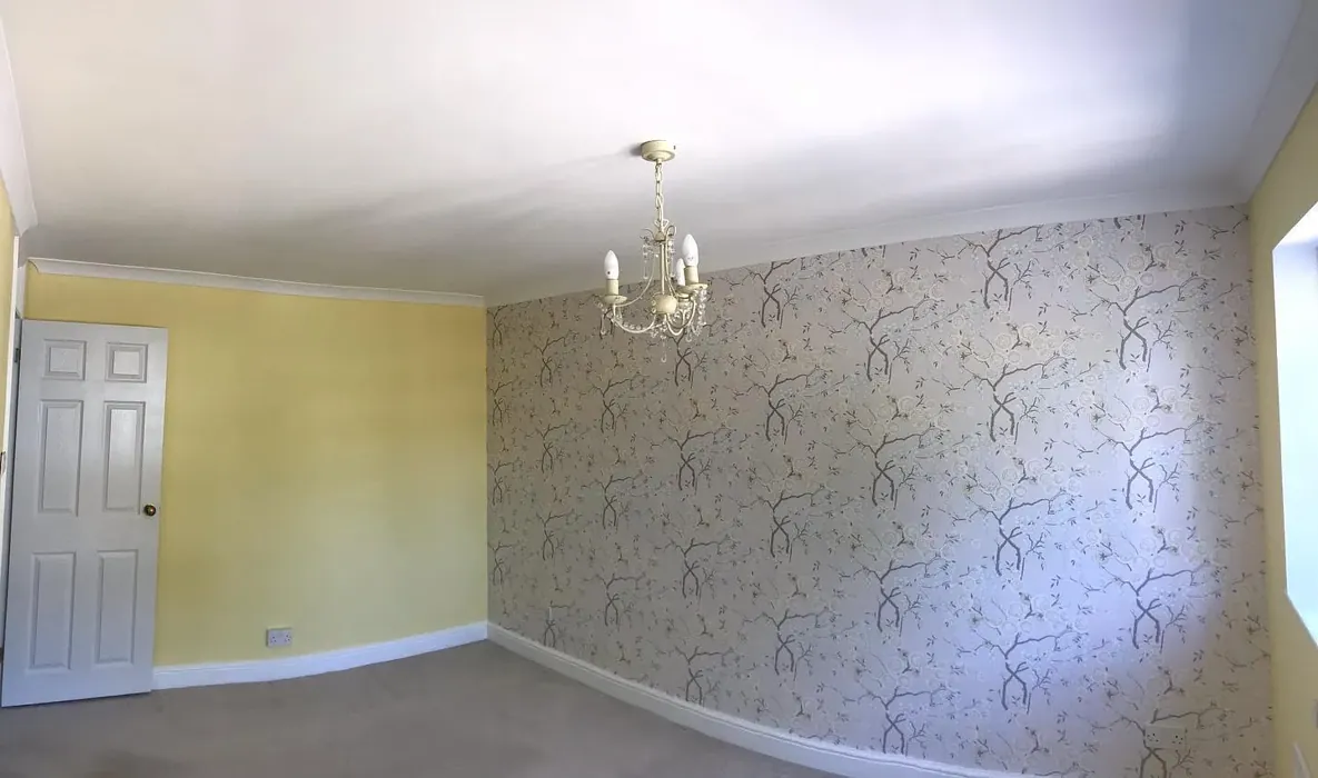 Dulux 54YY 85/291 wall paint makeover