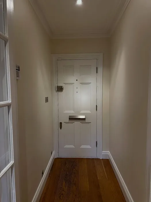 Dulux Vanilla White hallway color