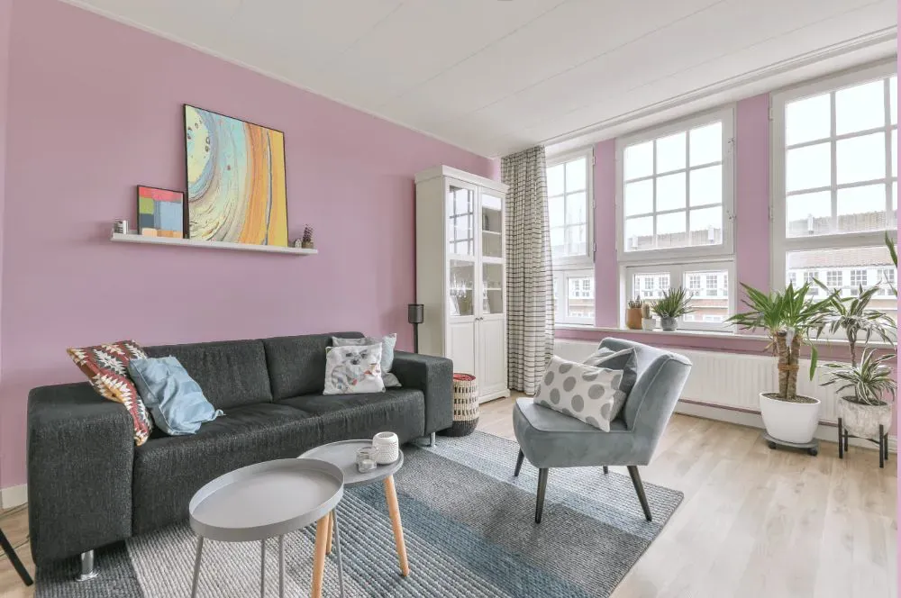 Sherwin Williams Vanity Pink living room walls