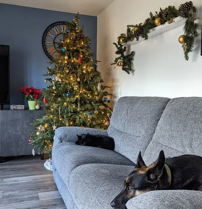 Vast Lake living room accent wall