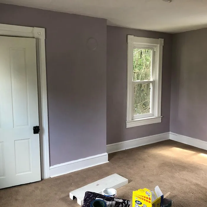 Sherwin Williams Veiled Violet Living Room