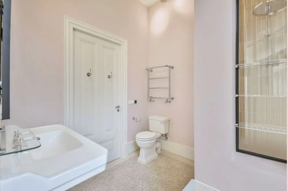 Sherwin Williams Venus Pink bathroom