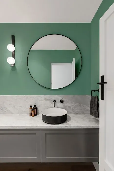 Sherwin Williams Verdigreen minimalist bathroom