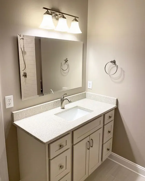 Sw Versatile Gray Bathroom