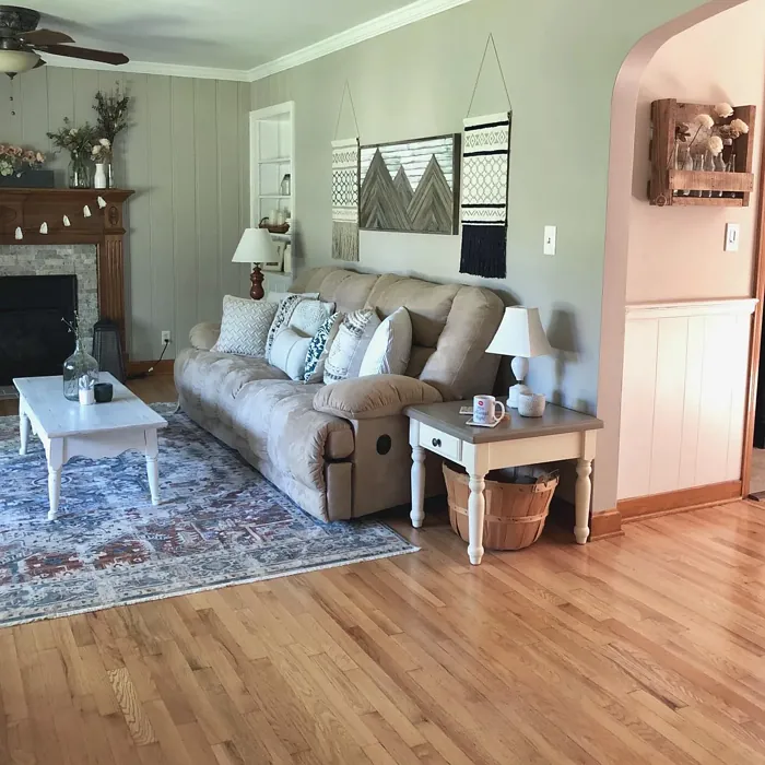 Sherwin Williams Versatile Gray living room picture