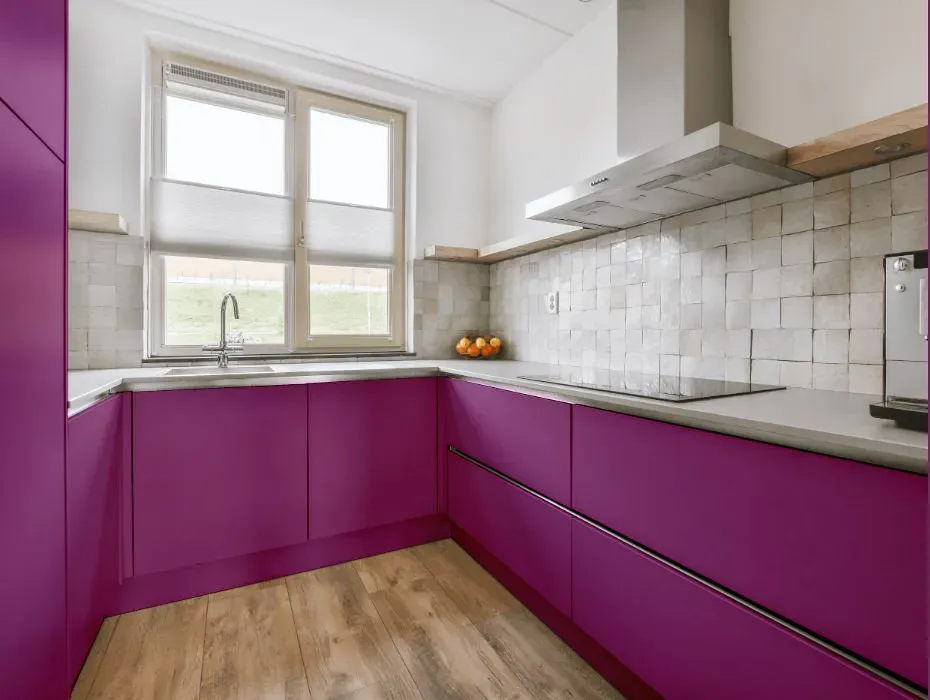 Sherwin Williams Verve Violet small kitchen cabinets
