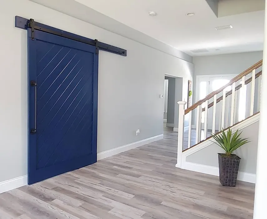 Behr Very Navy blue barn door