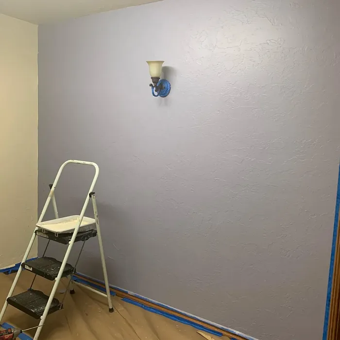 Sherwin Williams SW 6542 accent wall color