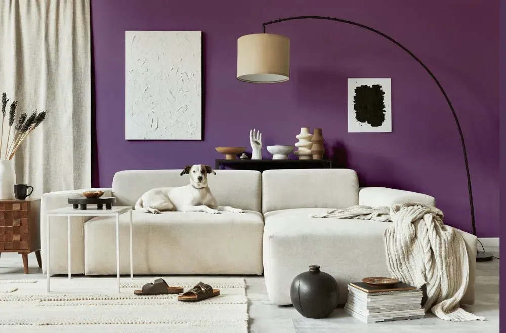 Sherwin Williams Vigorous Violet cozy living room